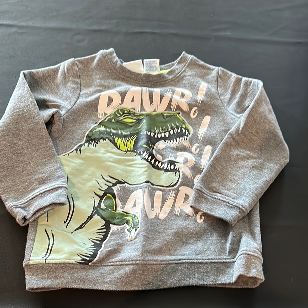 Kidgets Gray Dinosaur Graphic Thin Sweatshirt